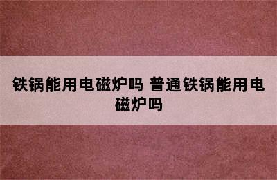 铁锅能用电磁炉吗 普通铁锅能用电磁炉吗